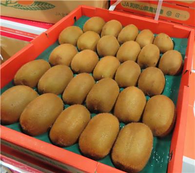 日本出口「奇異果」農藥殘留含量不符規定