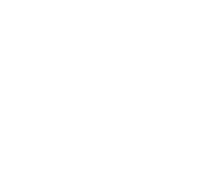 iconairplane