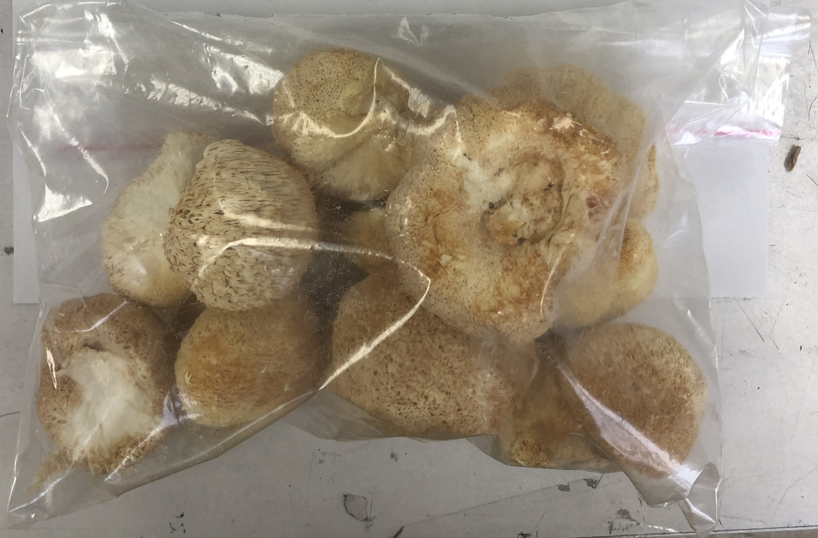 中國大陸出口「乾猴頭菇」農藥殘留含量不符規定
