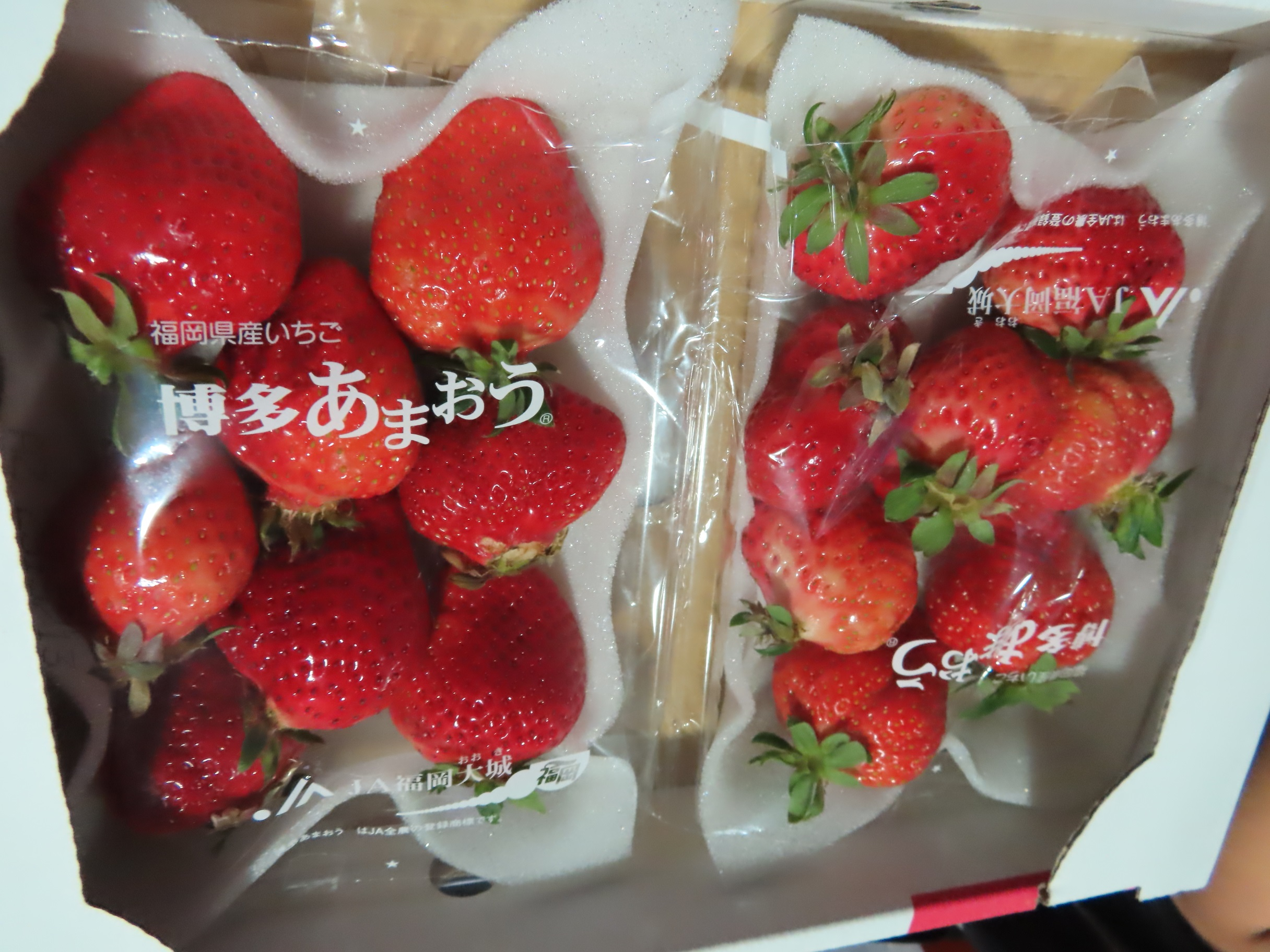 鮮草莓(FRESH STRAWBERRY)