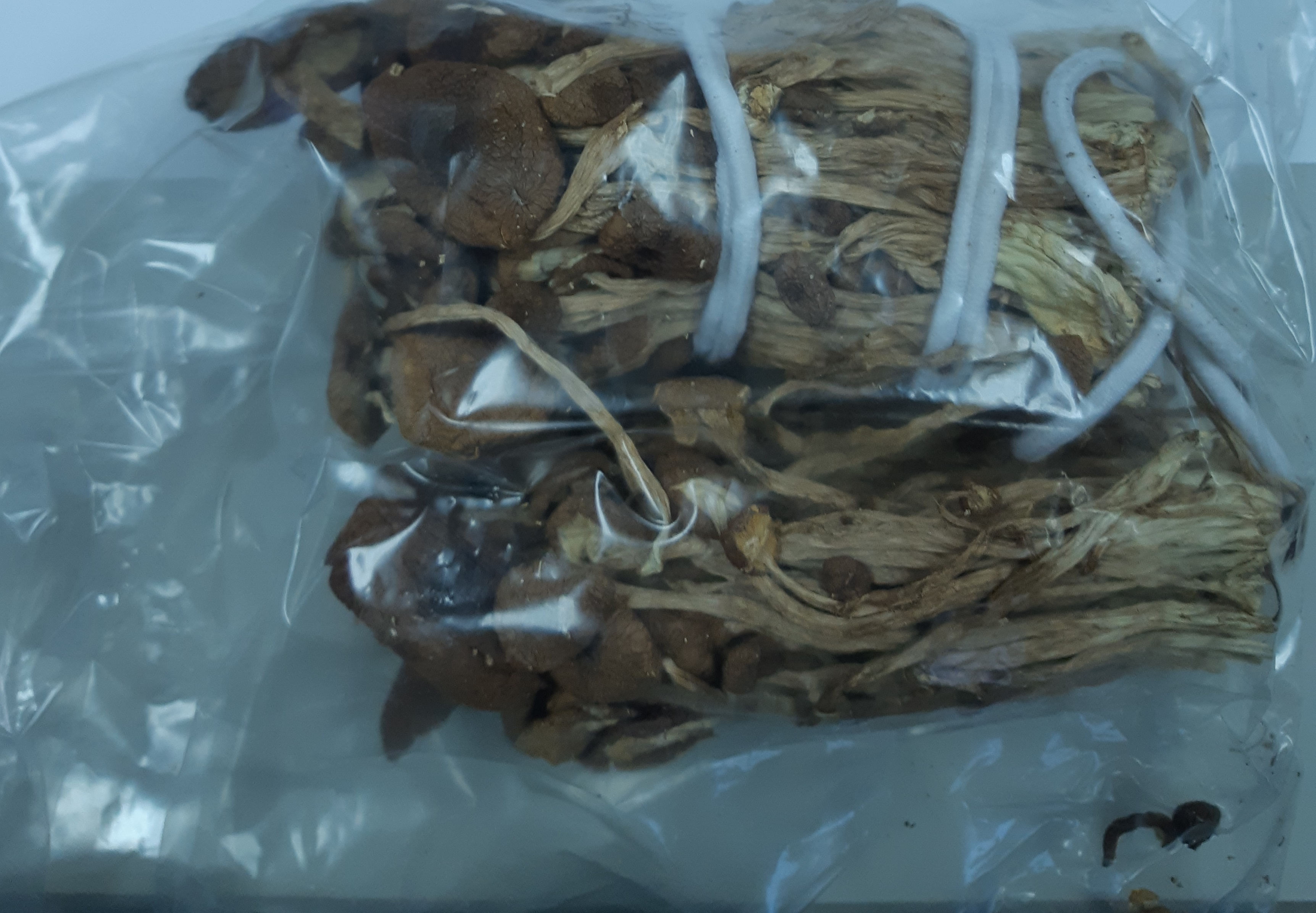 ▼中國進口的茶樹菇被檢驗出殘留農藥。（圖／翻攝自食藥署官網）