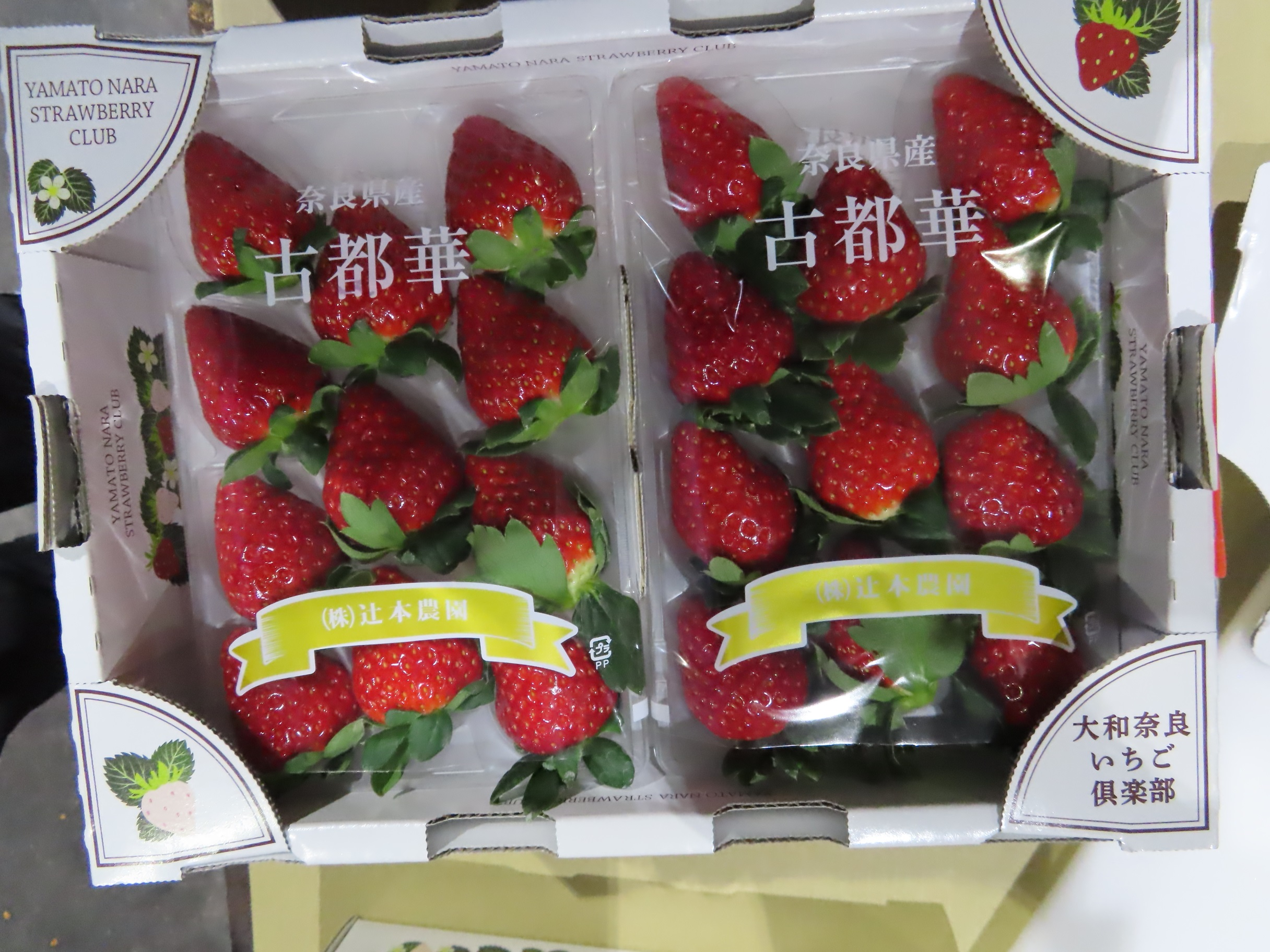 鮮草莓(FRESH STRAWBERRY)