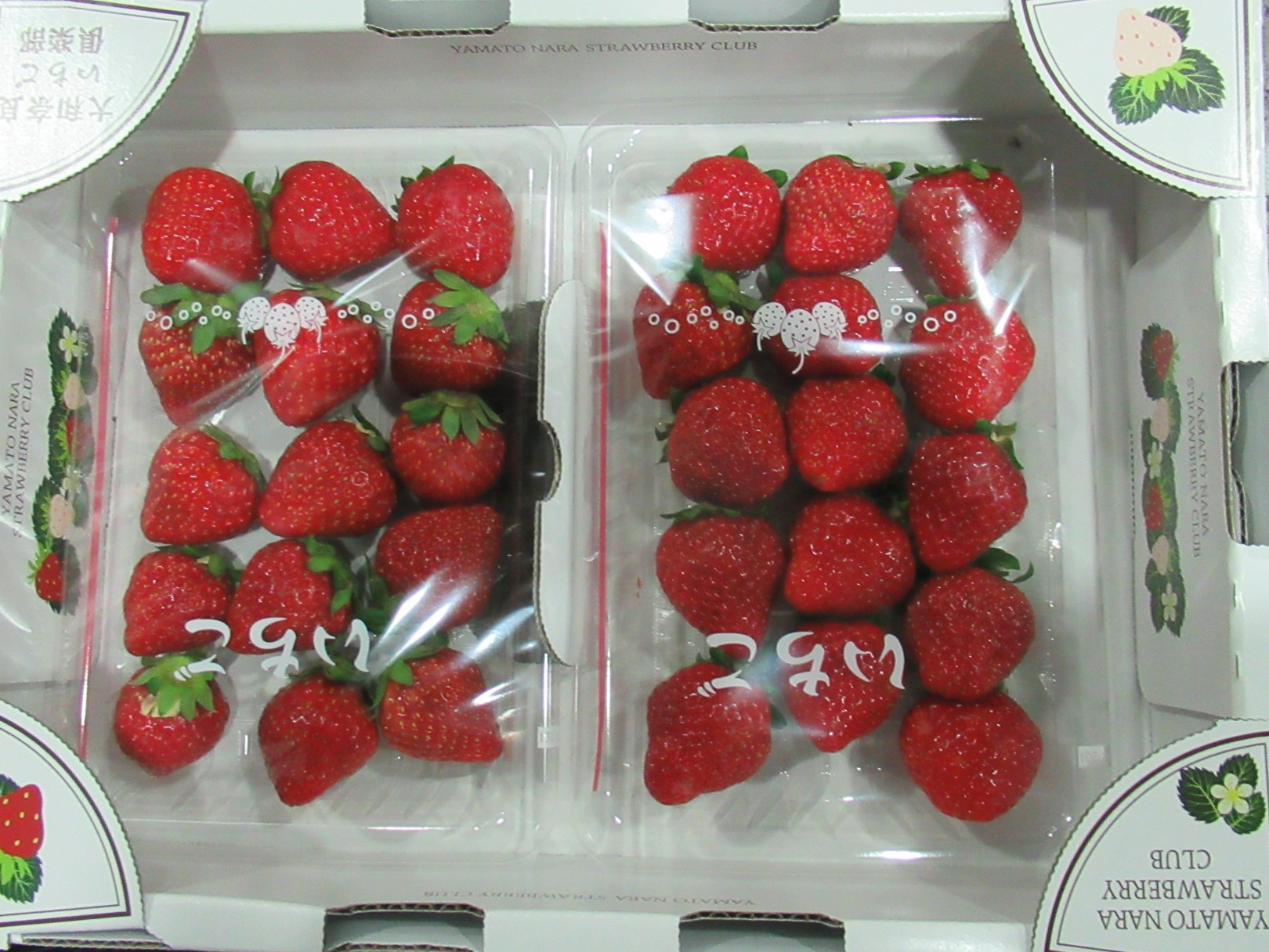 鮮草莓(FRESH STRAWBERRY)