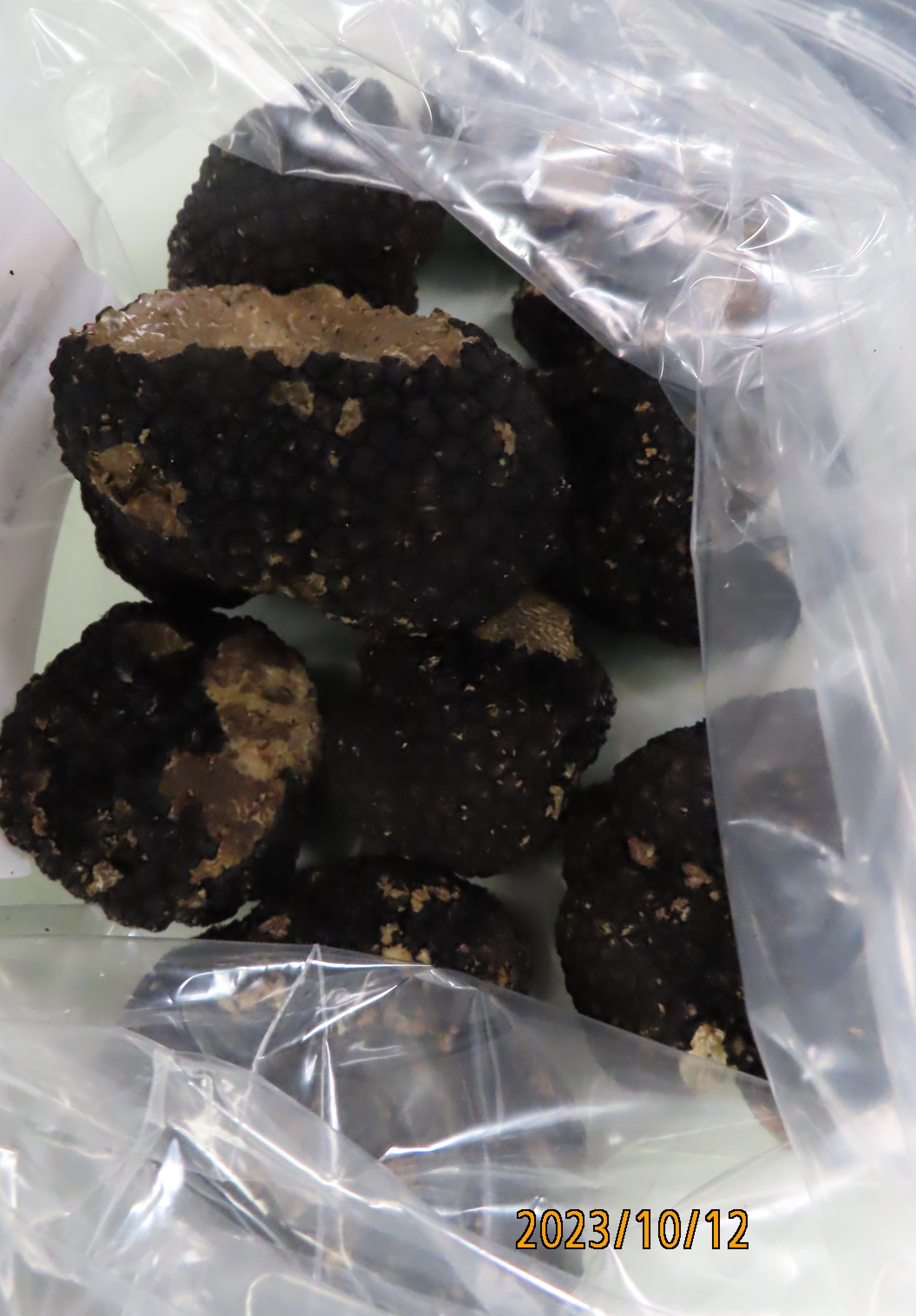 黑松露(FRESH AUTUMN TRUFFLES)