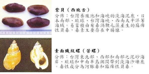 原因食品 原因食品:紫貝(西施舌)、素面織紋(苦螺)