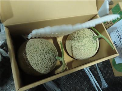 日本出口「鮮哈密瓜」農藥殘留含量不符規定