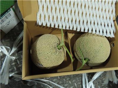 日本出口「鮮哈密瓜」農藥殘留含量不符規定