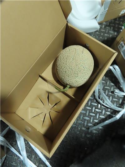 日本出口「鮮哈密瓜」農藥殘留含量不符規定