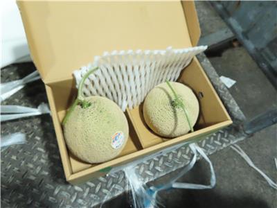 日本出口「鮮哈密瓜」農藥殘留含量不符規定