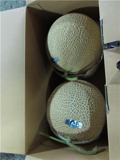 日本出口「鮮哈密瓜」農藥殘留含量不符規定
