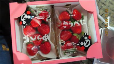 日本出口「鮮草莓」農藥殘留含量不符規定