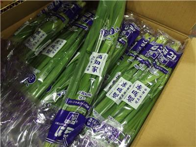 日本出口「韭菜」農藥殘留含量不符規定