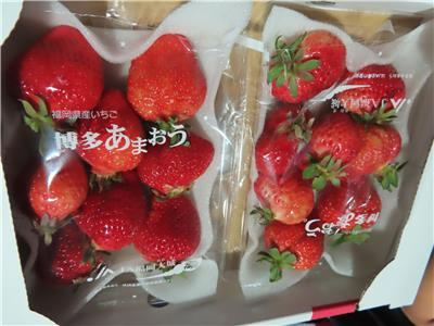 日本出口「鮮草莓」農藥殘留含量不符規定