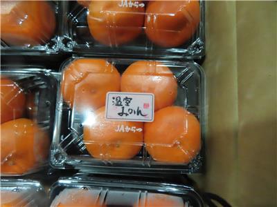 日本出口「蜜柑」農藥殘留含量不符規定