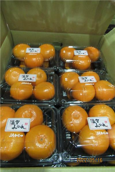 日本出口「蜜柑」農藥殘留含量不符規定