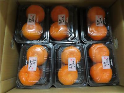 日本出口「蜜柑」農藥殘留含量不符規定
