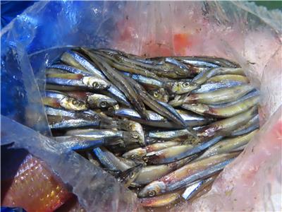 日本出口「丁香魚」重金屬含量不符規定