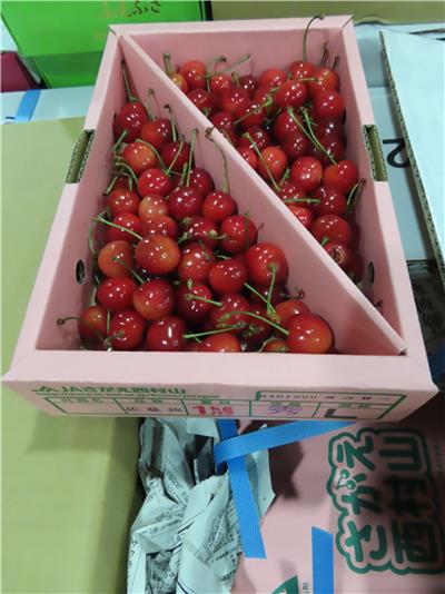 日本出口「櫻桃」農藥殘留含量不符規定