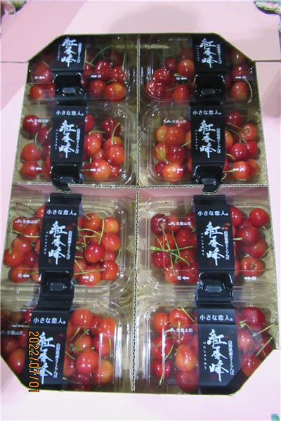 日本出口「紅櫻桃」農藥殘留含量不符規定