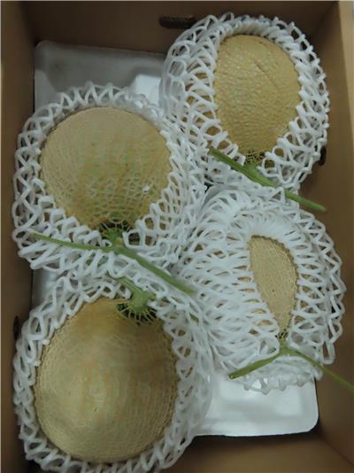 日本出口「鮮蜜瓜」農藥殘留含量不符規定