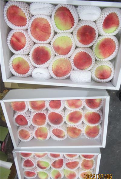 日本出口「鮮水蜜桃」農藥殘留含量不符規定