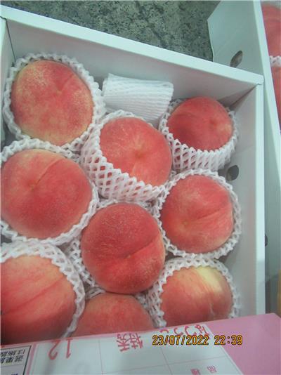 日本出口「水蜜桃」農藥殘留含量不符規定