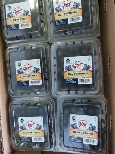 美國出口「鮮藍莓」農藥殘留含量不符規定