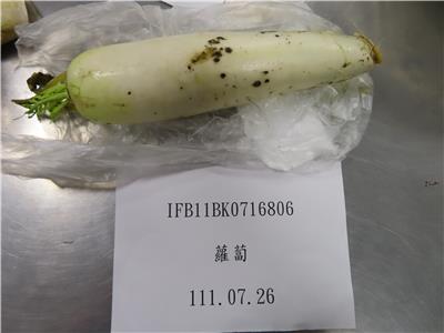 日本出口「蘿蔔」農藥殘留含量不符規定