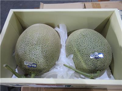 日本出口「鮮蜜瓜」農藥殘留含量不符規定