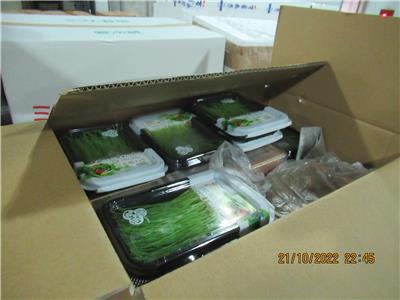 日本出口「芽蔥」農藥殘留含量不符規定