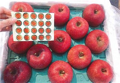 日本出口「蘋果」農藥殘留含量不符規定