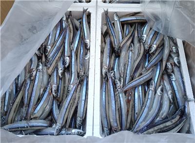 日本出口「冷凍丁香魚」重金屬含量不符規定