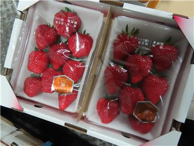 日本出口「草莓」農藥殘留含量不符規定