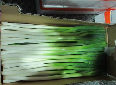 日本出口「長蔥」農藥殘留含量不符規定