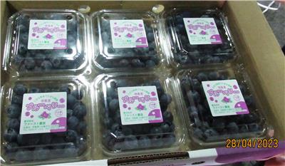 日本出口「鮮藍莓」農藥殘留含量不符規定