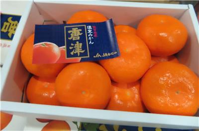 日本出口「蜜柑」農藥殘留含量不符規定
