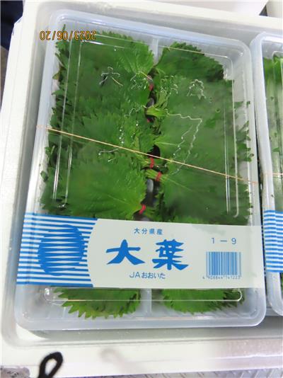日本出口「大葉」農藥殘留含量不符規定
