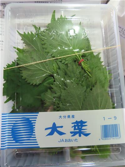 日本出口「大葉」農藥殘留含量不符規定