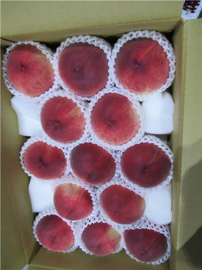 日本出口「鮮水蜜桃」農藥殘留含量不符規定