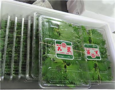 日本出口「大葉」農藥殘留含量不符規定