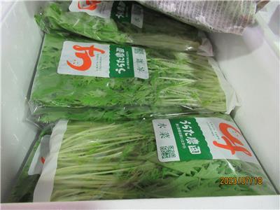 日本出口「水菜」農藥殘留含量不符規定