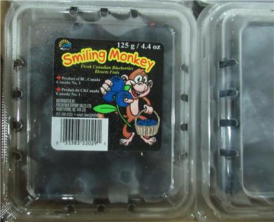 加拿大出口「鮮藍莓」農藥殘留含量不符規定