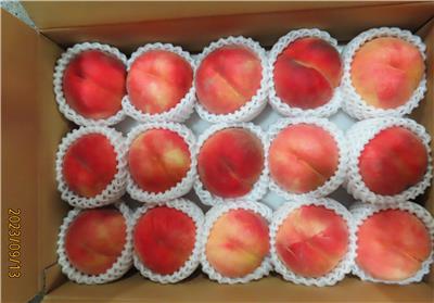 日本出口「水蜜桃」農藥殘留含量不符規定