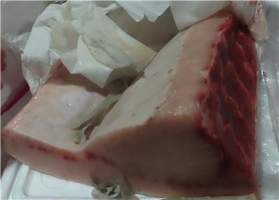 日本出口「旗魚肉」重金屬含量不符規定