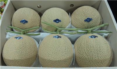 日本出口「哈密瓜」農藥殘留含量不符規定