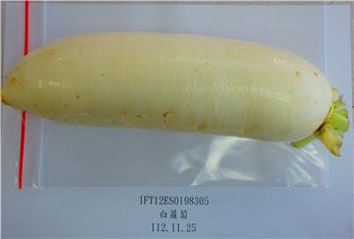 中國大陸出口「白蘿蔔」農藥殘留含量不符規定