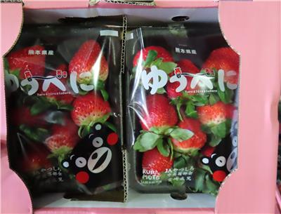 日本出口「鮮草莓」農藥殘留含量不符規定