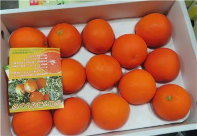 日本出口「血橙」農藥殘留含量不符規定