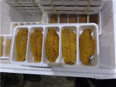 加拿大出口「紫海膽卵」重金屬含量不符規定