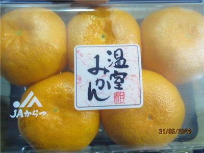 日本出口「蜜柑」農藥殘留含量不符規定